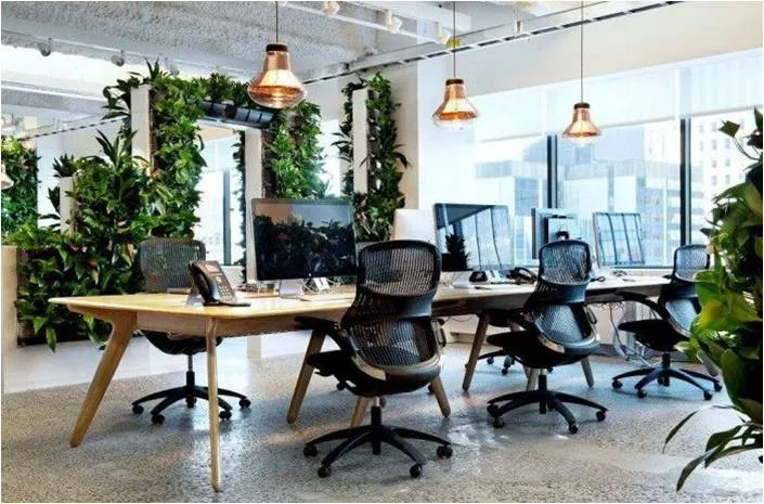 Biophilic Design